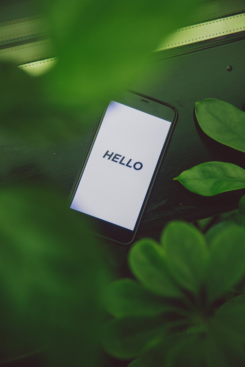 A smartphone displays 'HELLO' surrounded by lush green leaves.